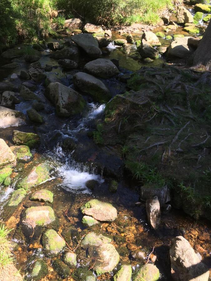 דירות Bergwelt בראונלאגה מראה חיצוני תמונה